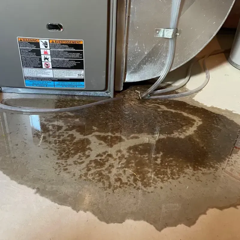 Appliance Leak Cleanup in Highland Park, IL